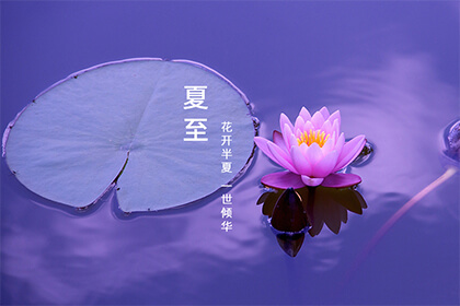 夏至是夏天的开始吗 夏至是夏天的结束了吗 水墨先生