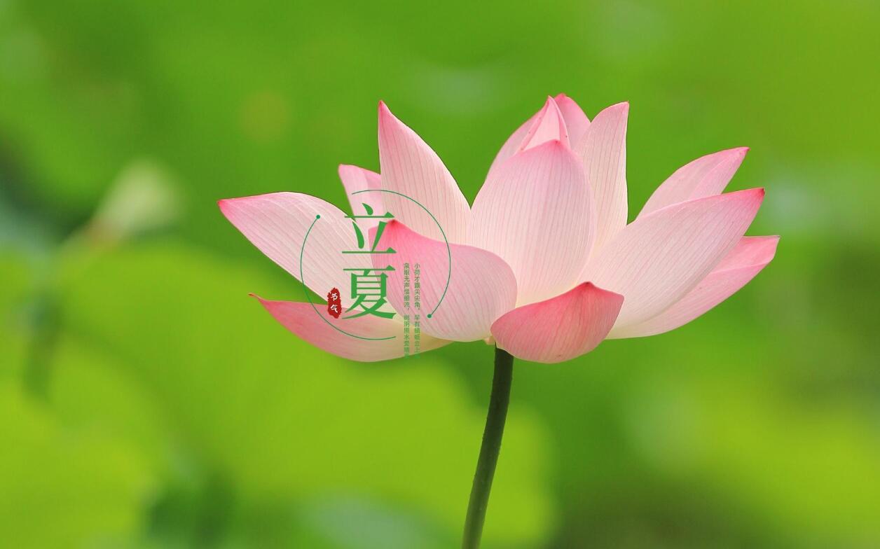 2022年立夏是几号立夏这天是黄道吉日吗