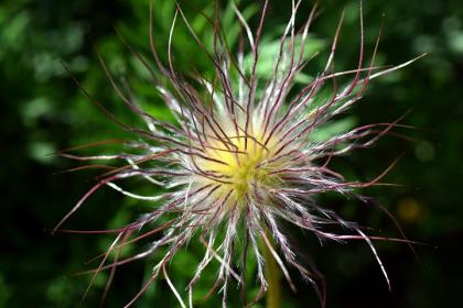 7月9日出生的名人明星 7月9日出生的名人明星有哪些 水墨先生